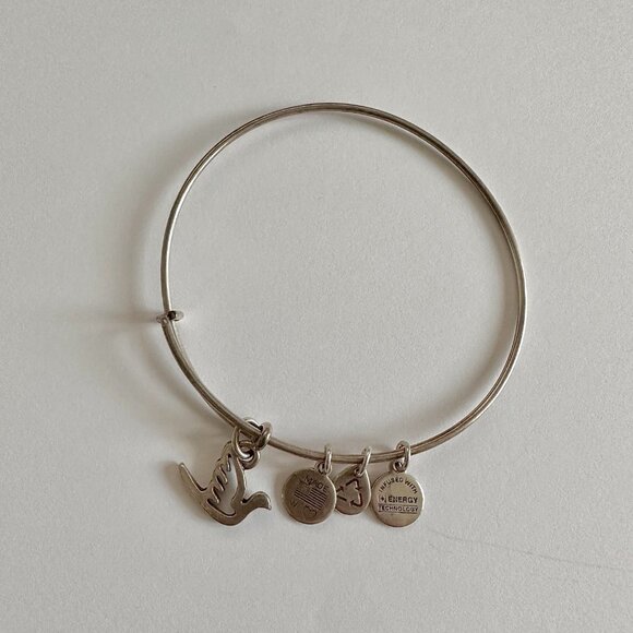 Alex and Ani bracelet Charm Bangle  Bundle of 6